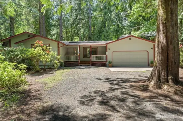 Driveway to house