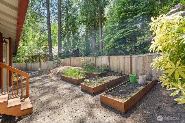 Raised beds in fenced back yard.