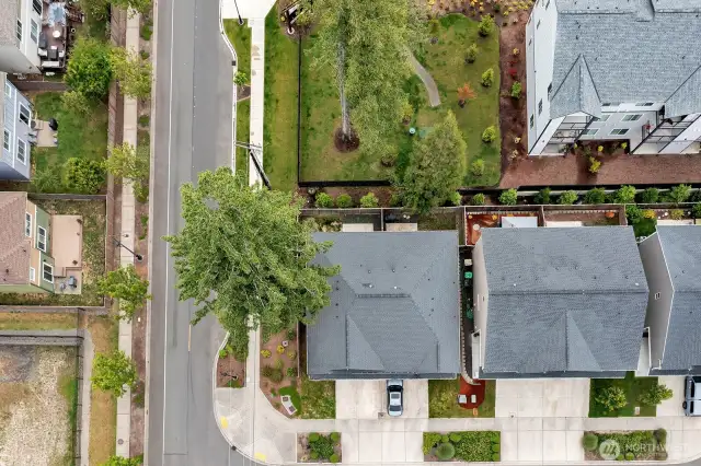 Overhead View