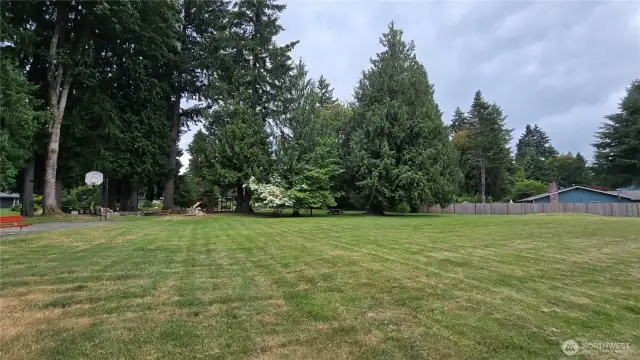 Neighborhood Park area