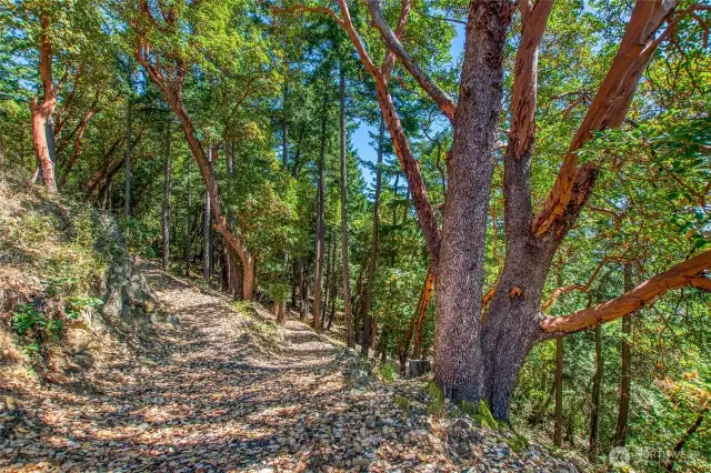 The Seller had .23 miles of approx 6' wide gravel trails made around the property for your personal relaxing hikes amongst the madronas and old growth firs