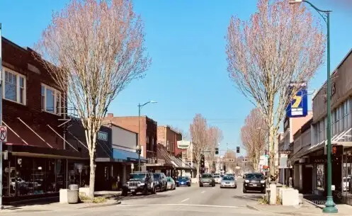 Downtown Puyallup is a historic area located within the Puyallup Valley, known for its small-town charm and convenience. It's characterized by a mix of family-owned businesses, great restaurants, and local boutiques.