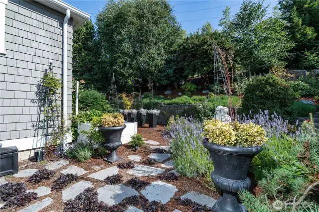 Side garden