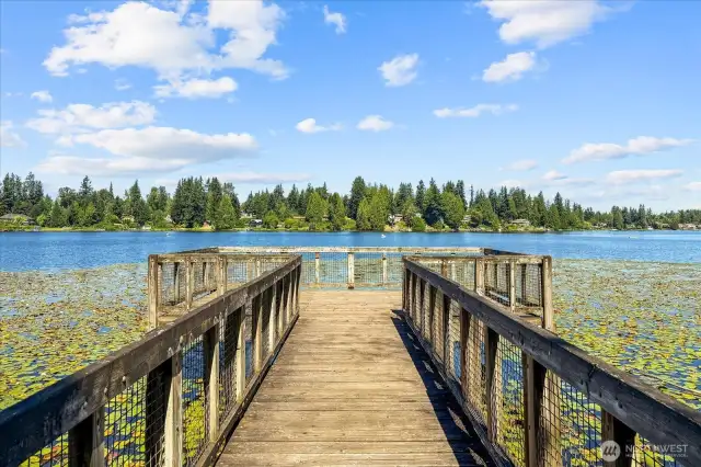 Close to Martha Lake
