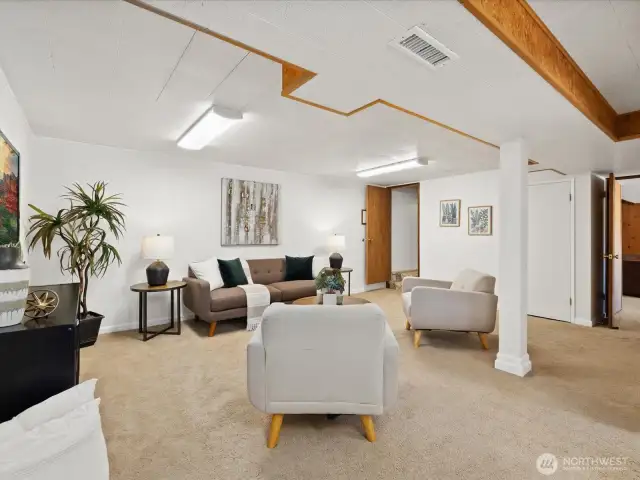 Storage under the stairs in the rec room.