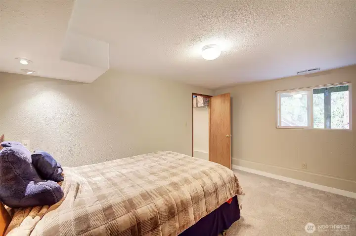 Downstairs bedroom with walk in closet