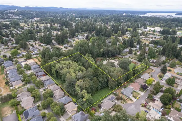 LOOKING TOWARDS THE NORTH (Capitol Lake at top of photo...).