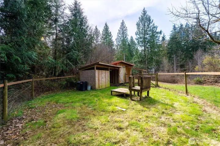 Charming wood-built animal shelter with covered stall and a fully fenced pasture—ideal for small livestock or hobby farming, all set within a peaceful forest backdrop.
