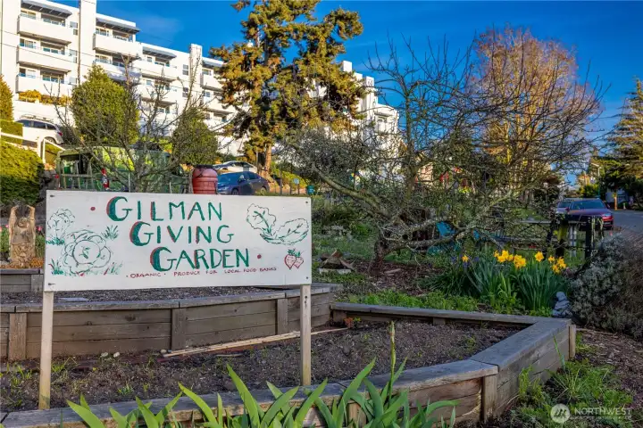 A shared garden space invites connection—plant, gather, and enjoy a grounded sense of community