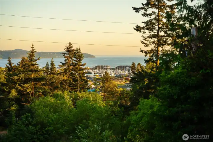 Views from the deck