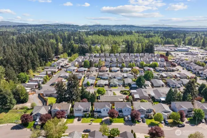 Drone View