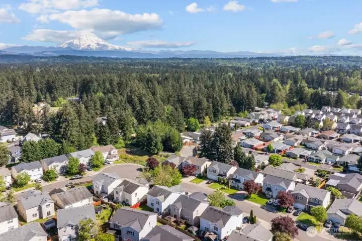 Drone View