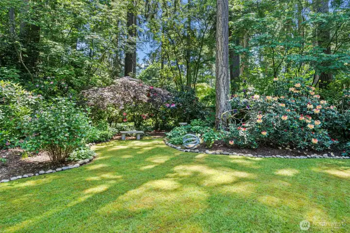Beautiful mature landscaping and gardens