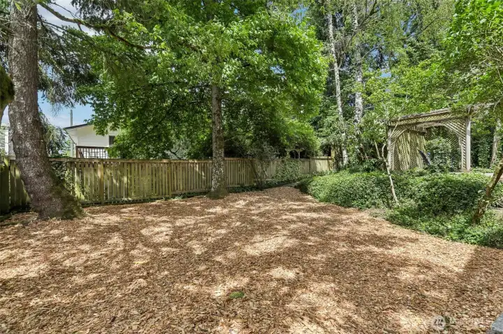 Backyard Backyard