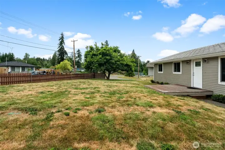 Large partially fenced front yard!
