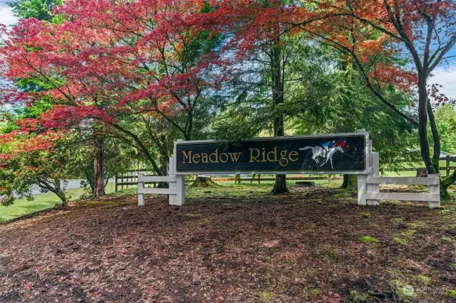 As part of Meadow Ridge, indulge in exclusive amenities such as horse boarding facilities, arena & stables, a sport court, park & picturesque trails.