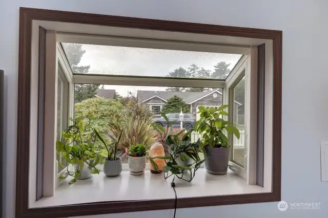 Bay window that works as a greenhouse