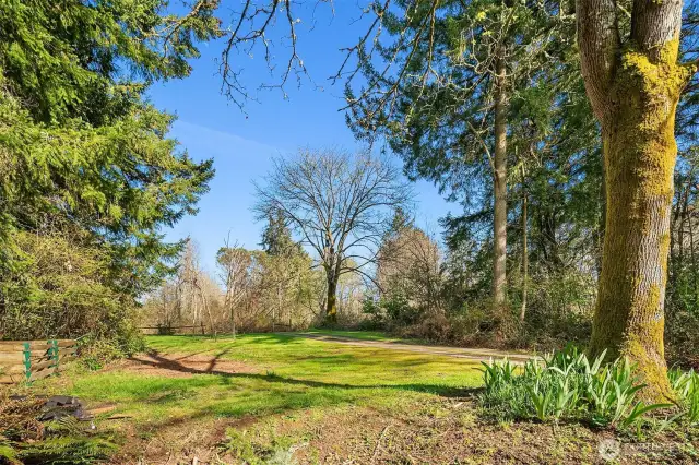 Bright, sunny space to garden and more.