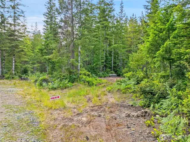 Follow the directional arrows from the temporary access off of 410 Trudeau to the lot where the ecology blocks are and a walking path has been made onto 400 Trudeau.