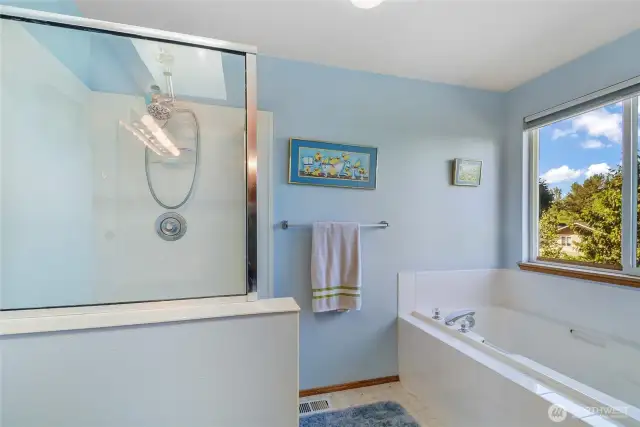 Another shot of the primary bathroom.