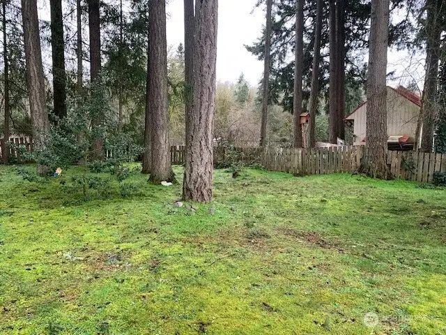 Large fenced yard with mature trees.