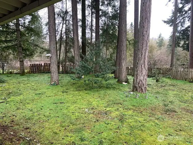 Additional view of the yard.