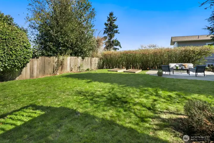 Patio to the right and garden beds in direct sunlight.