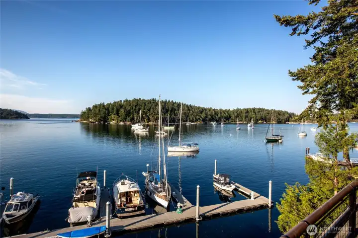 The emotional appeal of this peaceful island never gets old - I always felt like "there's no place like home" when the ferry rounded Brown Island and the town of Friday Harbor came into view. And it's fun to come home by plane too! The emotional appeal of this peaceful island never gets old - I always felt like "there's no place like home" when the ferry rounded Brown Island and the town of Friday Harbor came into view. And it's fun to come home by plane too!