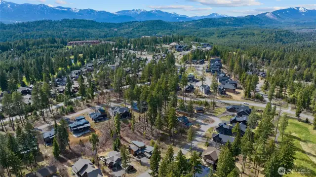 Overhead View