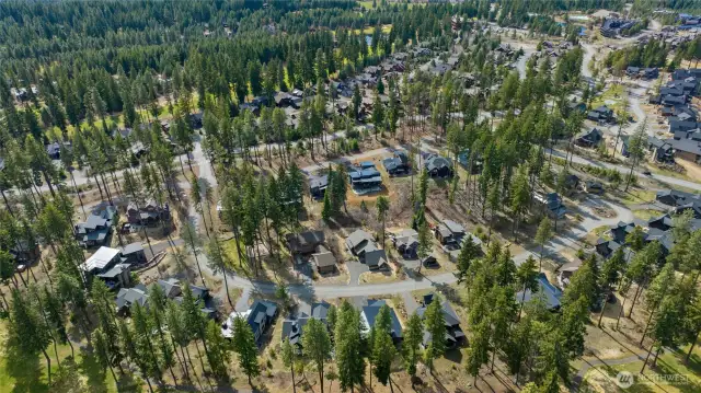 Overhead View