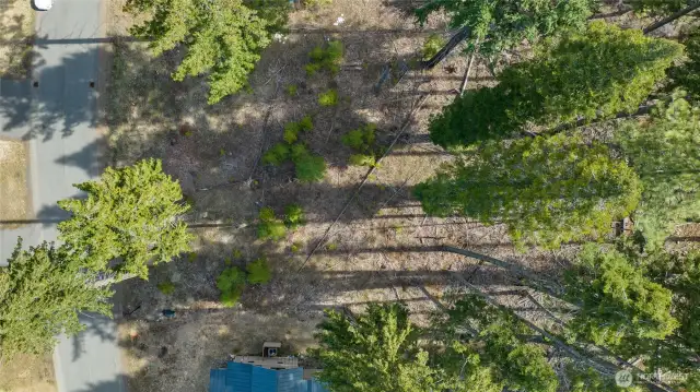 Overhead View