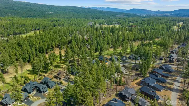 Overhead View