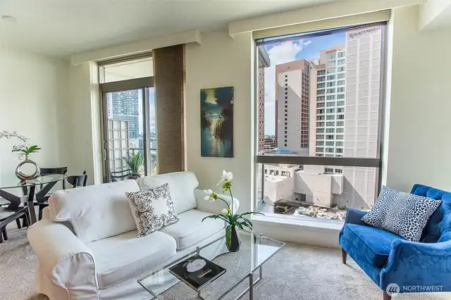 Cozy Living Room with lots of Natural Daylight.  Privacy Blinds included which make your New Home feel private when needed.