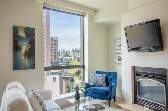 Your New Home includes a Toasty Gas Fireplace.