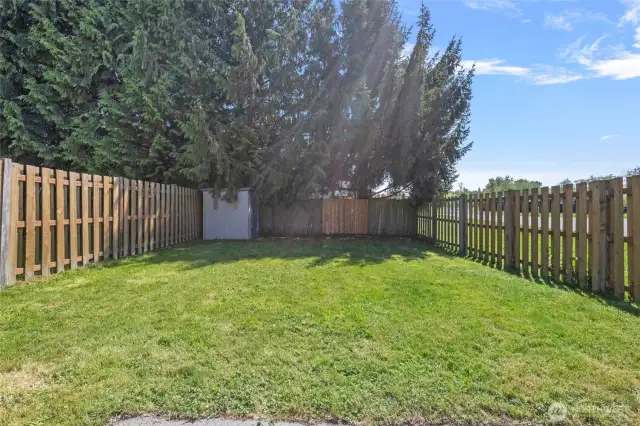 Another view of the back yard from the 515 side