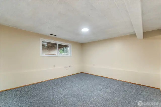 basement bonus/family room