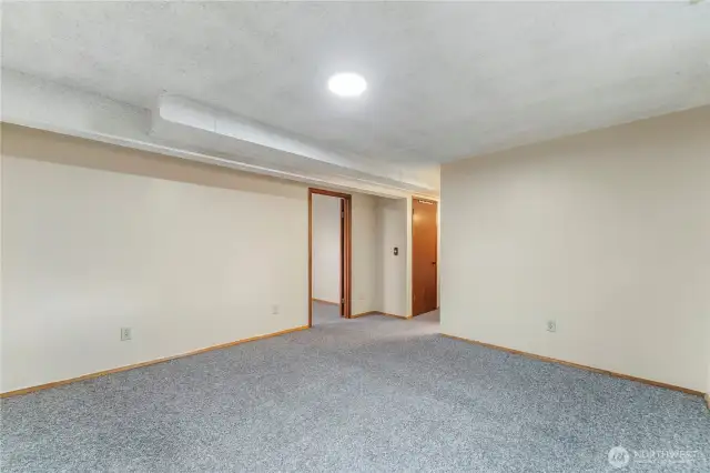 basement bonus/family room