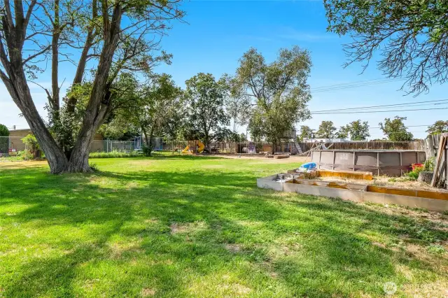 A view of the huge backyard from the back covered patio.