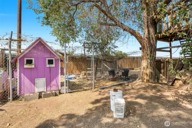 The wooden playset is on the tree, and the purple building is currently a chicken coop. What will YOU do with it?