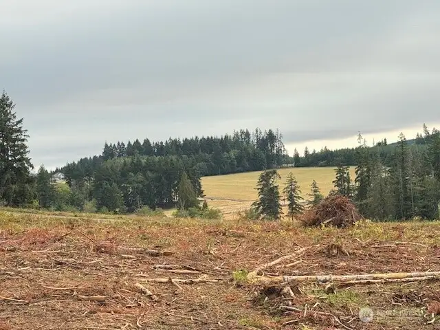 Great valley views