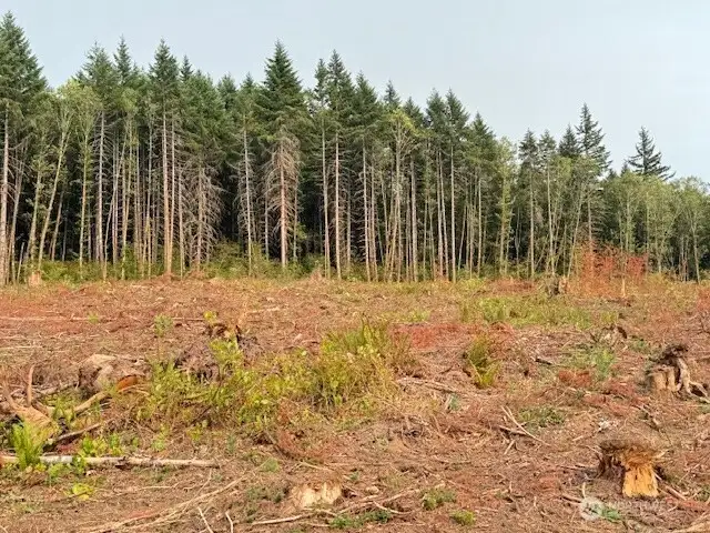 Backs up to timber