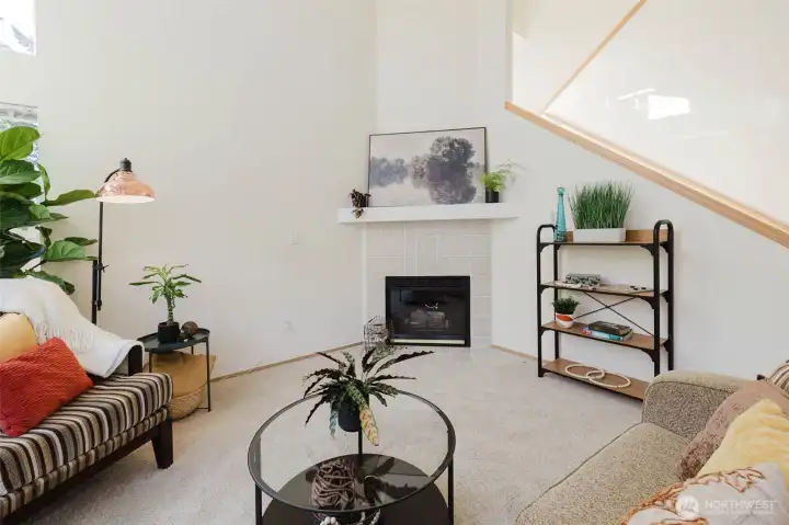 Gas fireplace that was recently serviced.