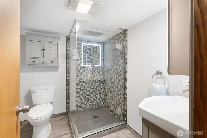 Lower Level Bathroom