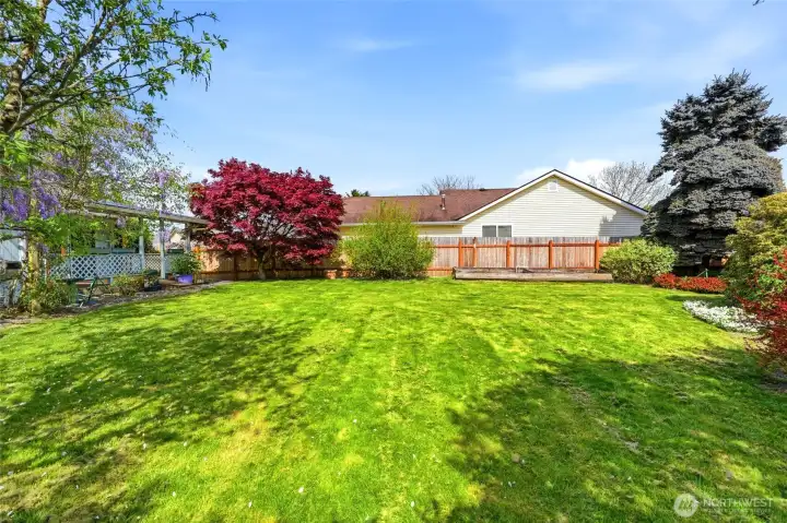 Side view of yard, level and there is garden space