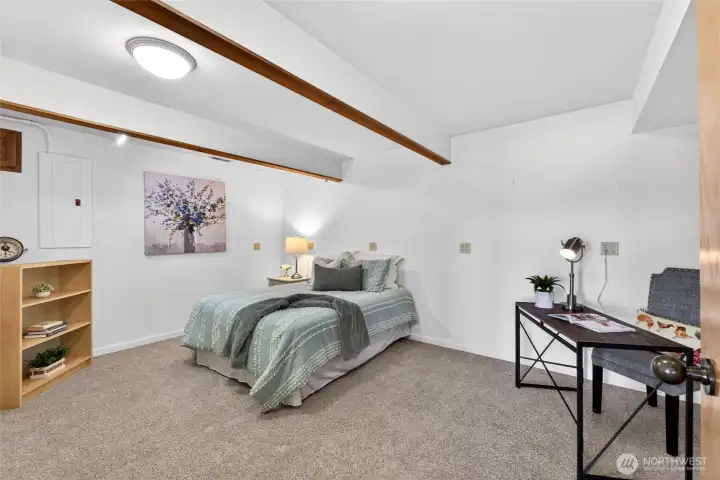 This is the downstairs finished room, large enough to be a bedroom AND an office.