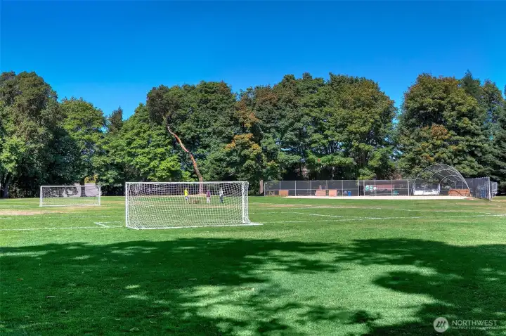 Laurelhurst Ball Fields