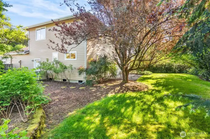 Beautiful mature landscape in the rear yard. Shown in this photo to the left is an entire bed or raspberries, with ample, sunny space for other vegetable plantings like tomatoes. Beautiful mature landscape in the rear yard. Shown in this photo to the left is an entire bed or raspberries, with ample, sunny space for other vegetable plantings like tomatoes.