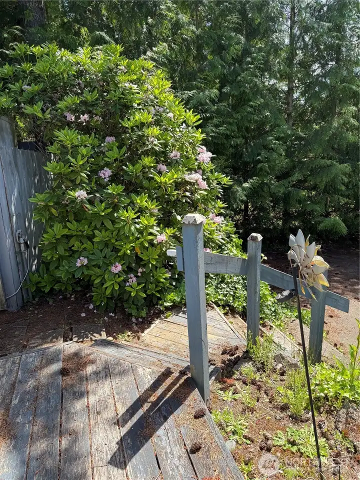 Staircase to Front Enterance
