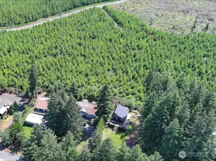 Ariel View 2