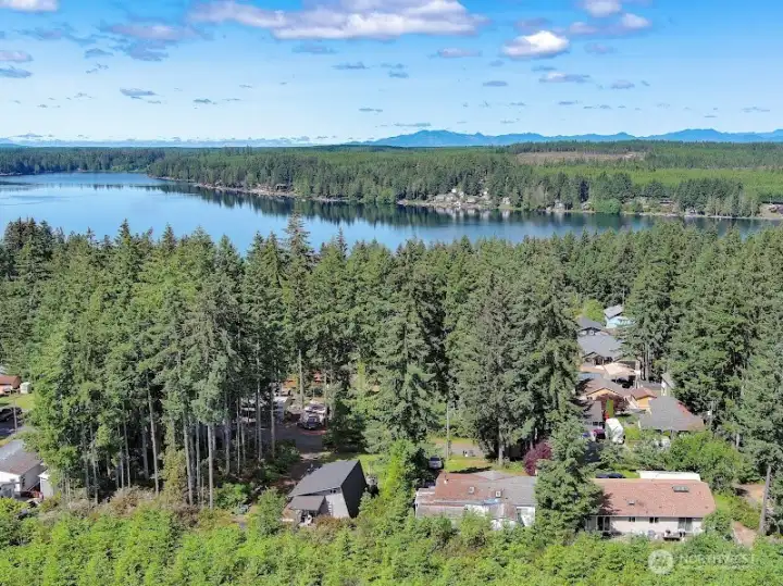 Mason Lake Community